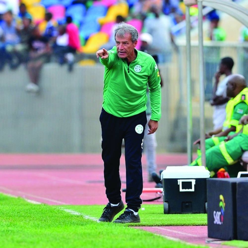 Veselin linked with Zebras job