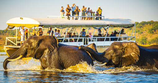 Botswana to host annual tourism expo November 29th