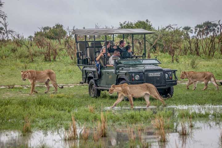Wilderness Botswana injects millions into the wild