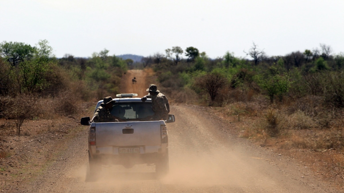 Botswana on Alert After Shooting of Rhinos in Sanctuary