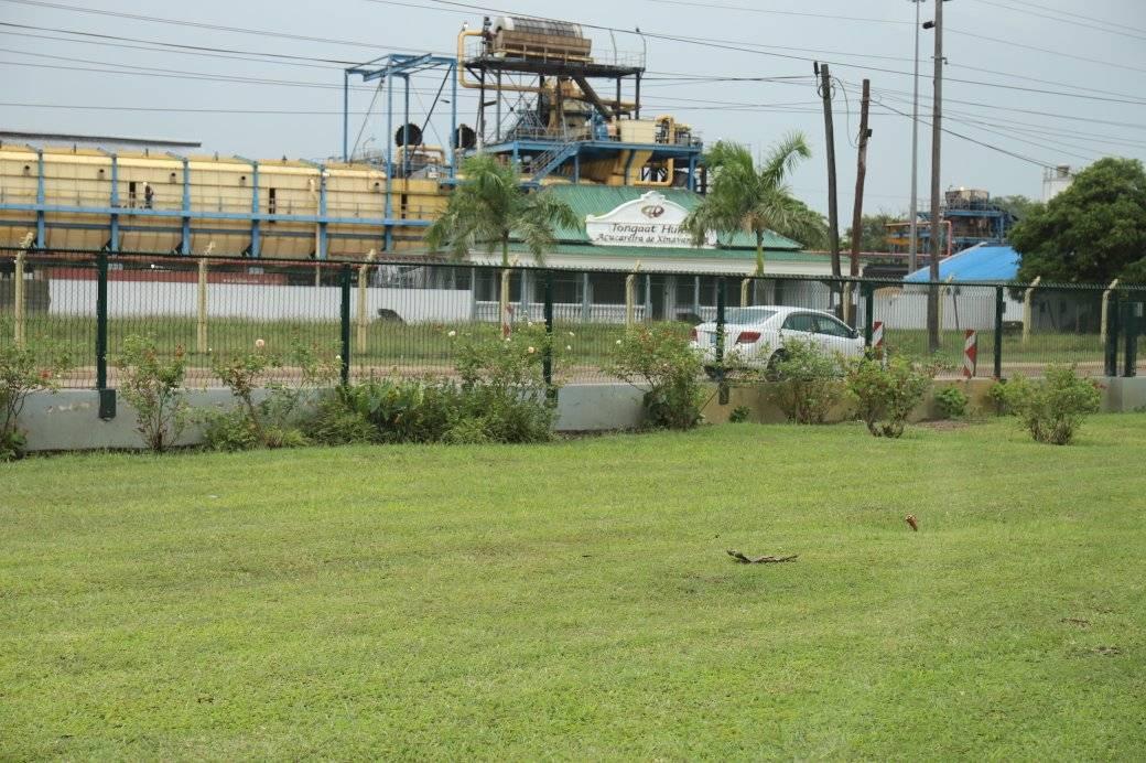 Tanzania&rsquo;s Kagera Sugar to acquire Tongaat Hulett sugar assets in South Africa, Mozambique, Zimbabwe and Botswana